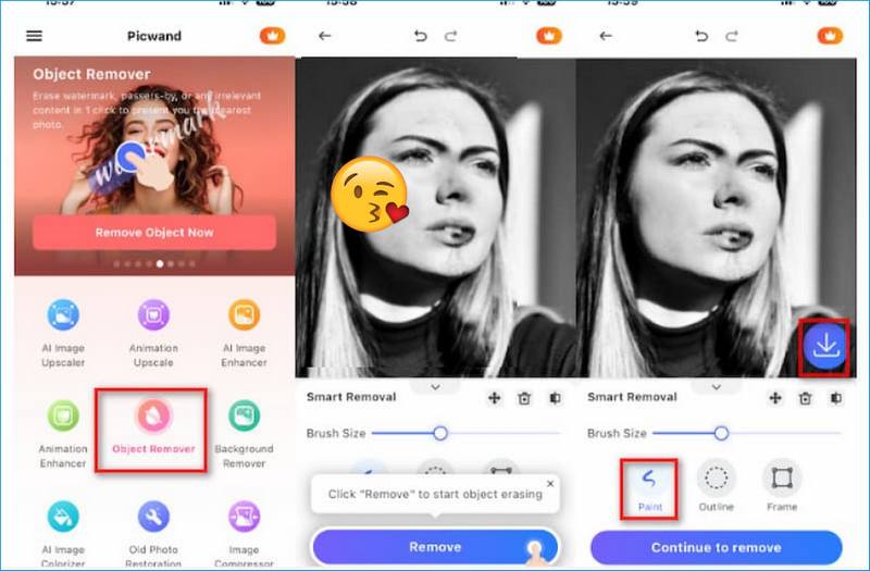 Remove Emoji Using Picwand