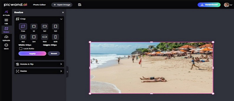 Picwand Remove Watermark Download