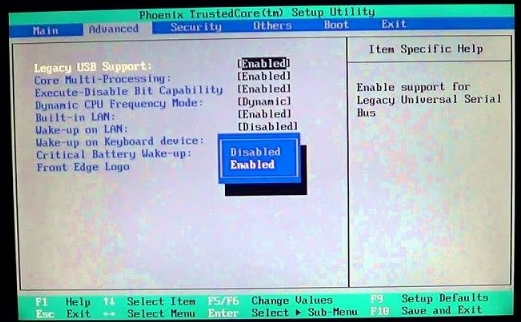 Enable Legacy USB Support