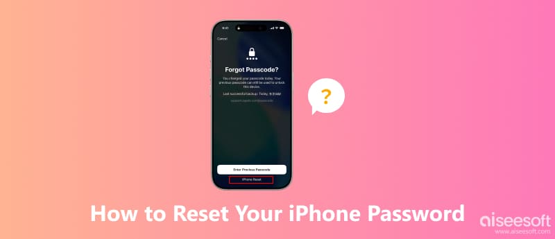 Reset iPhone Password