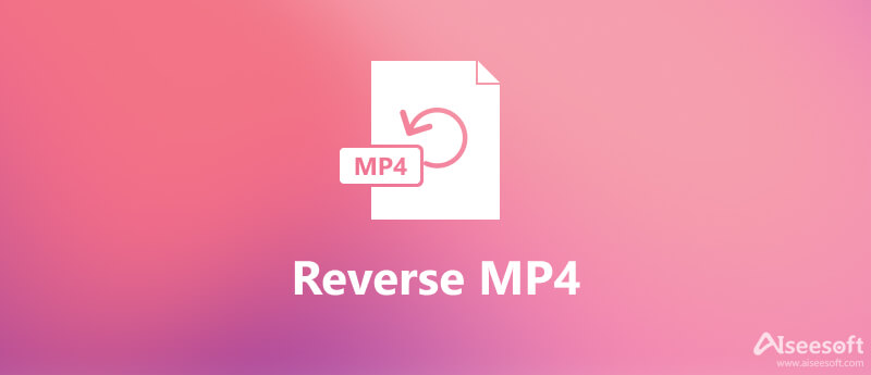 Reverzní MP4