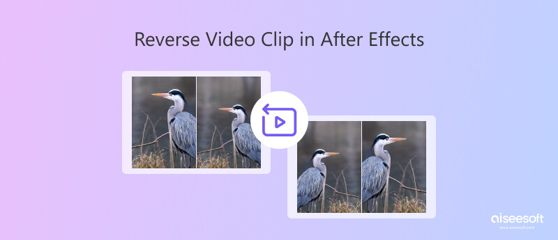 Video clip inverso After Effects