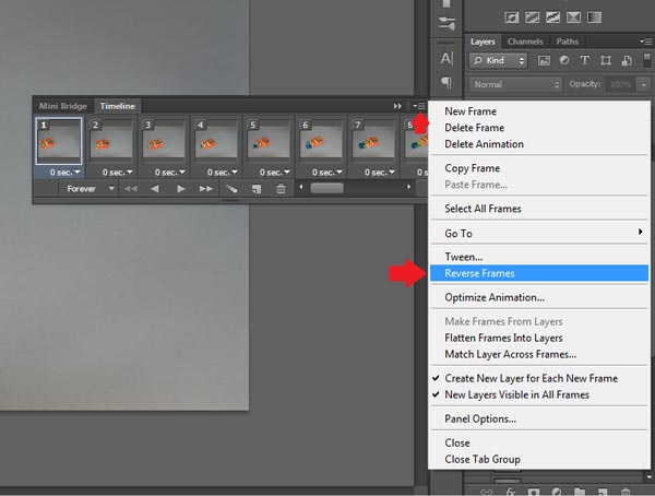 Video reverse software full version