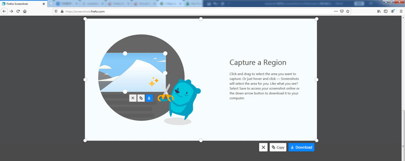 Firefox Capture Region