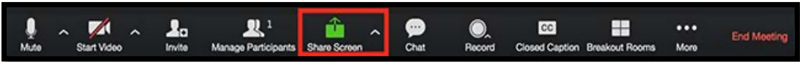 Zoom Share Screen Button