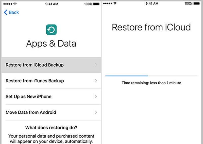 Restore from iCloud Backup