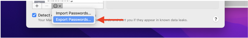 Esporta password dal portachiavi iCloud per Mac