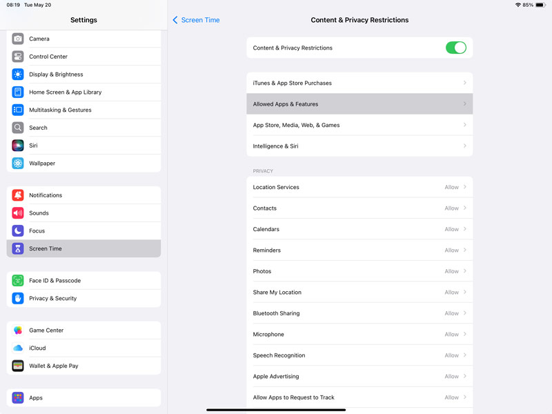 iPad Screen Time Allowed Apps Features