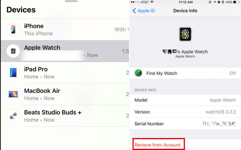 Remove Apple Watch Find My