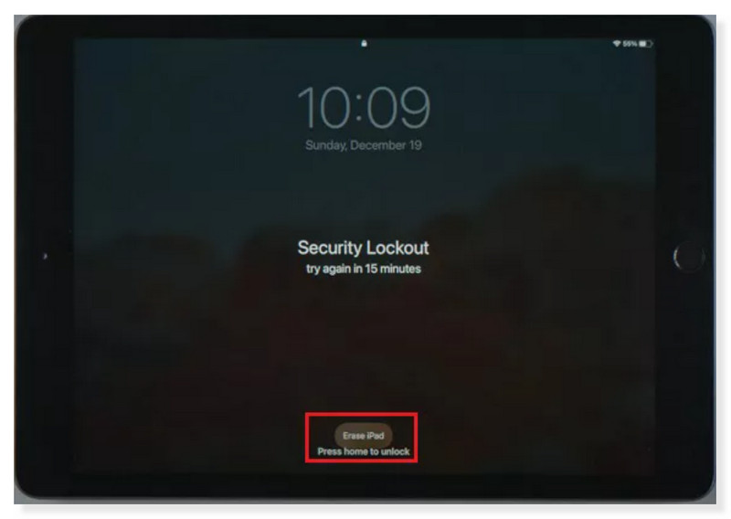 Erase iPad Enter Apple Password