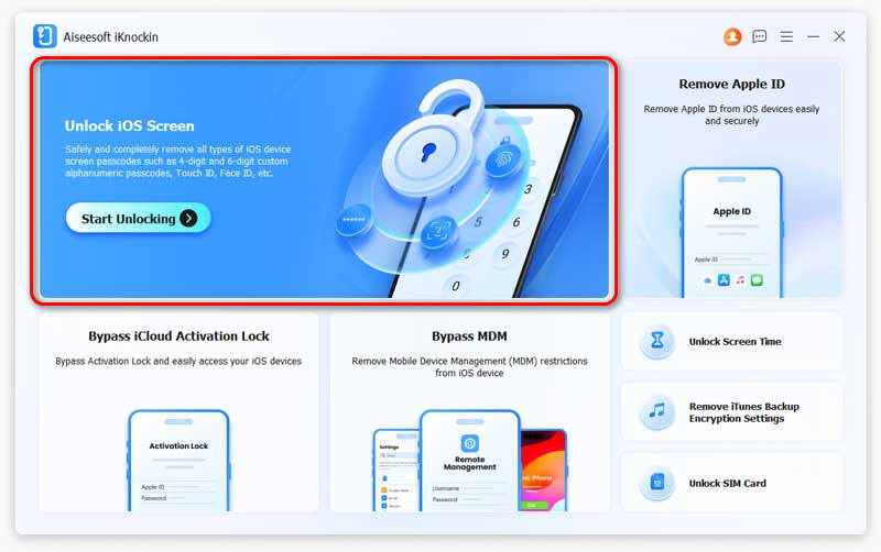 Remove iPhone Lock And Connect Devices