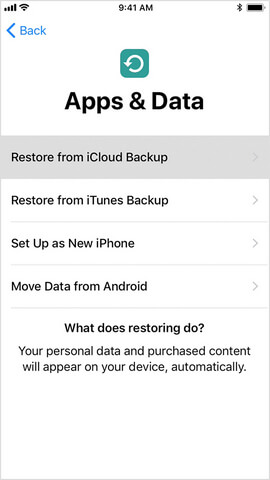 App- och dataskärm - Återställ från iCloud Backup