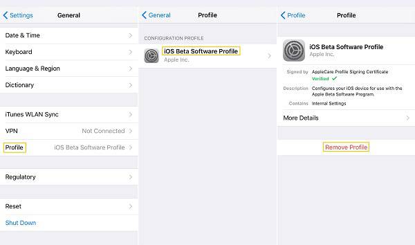 Delete iOS 17/16/15/14/13 Beta Profile