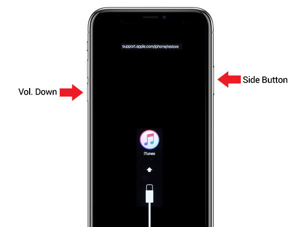 Gå till återställningsläge på iPhone X