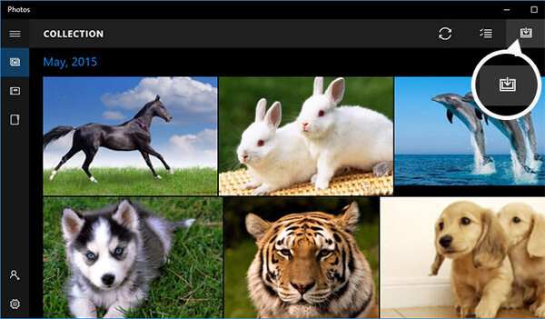 Windows 10 Photos App