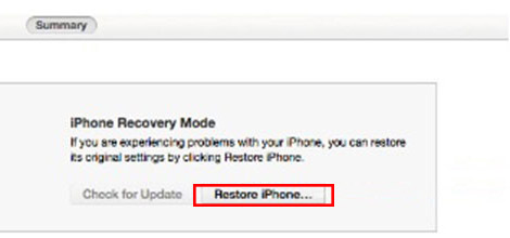 iPhone Restore