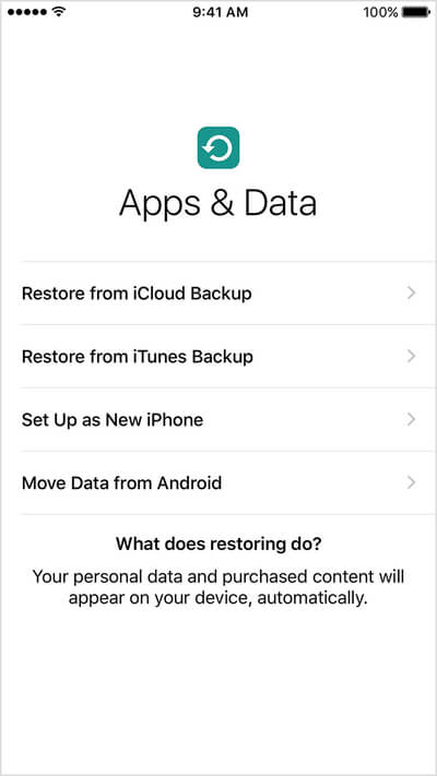 экран данных приложений iPhone