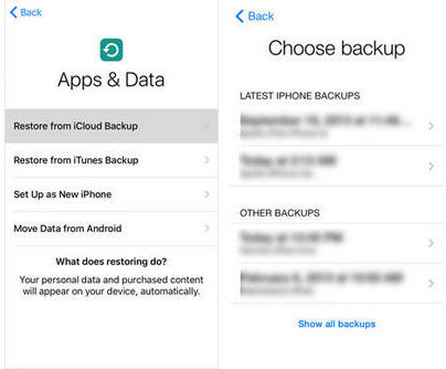 Restore from iCloud Backup