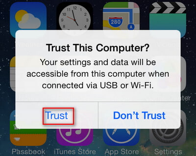 tap Trust on your iPhone