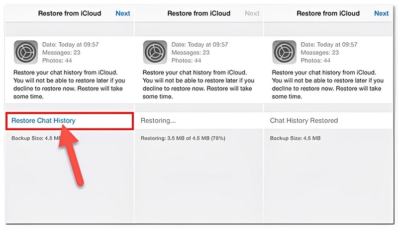 Recover WhatsApp iCloud Backup