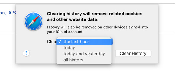 Clear History and Website Data from Safari