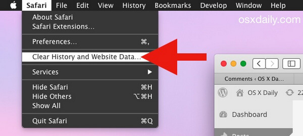 Clear History and Website Data from Safari