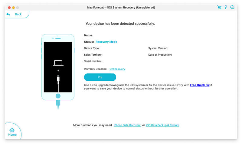 Detect iPad Mode