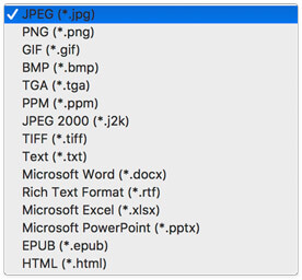 Converti PDF in JPEG