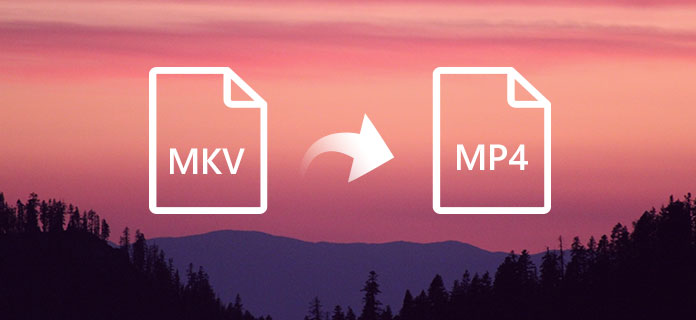 MKV для MP4