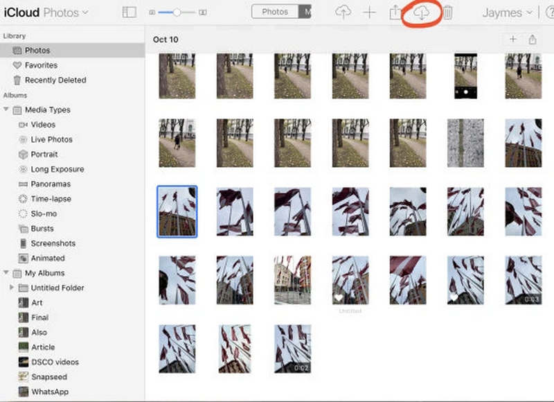 Select And Download Photo On Icloud Web