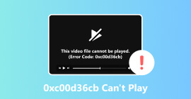 0xc00d36cb Can’t Play