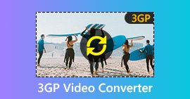 Hur du konverterar video till 3GP med 3GP Video Converter