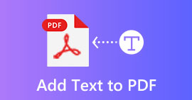 Aggiungi o inserisci testo in PDF