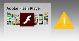 的Adobe Flash Player