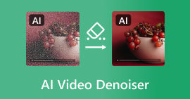 AI Video Denoiser