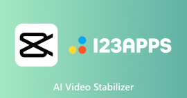 AI Video Stabilizer