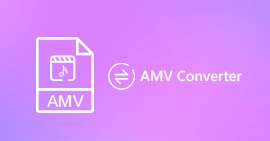 Convertitore AMV