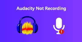 Audacity neemt niet op