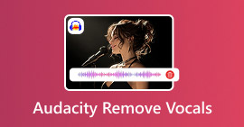 Audacity Remove Vocals