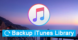 Esegui il backup della libreria iTunes