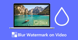 Blur Watermark on Video