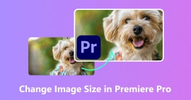 Change Image Size in Premiere Pro
