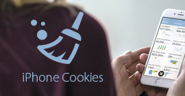 在iPhone上清除Cookie