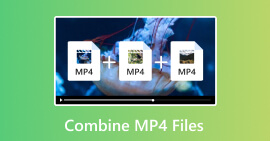 Combine MP4 Files