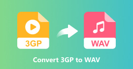 Convert 3gp To Wav