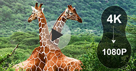 How to Convert 4K to 1080p Videos