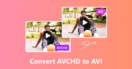 Convert AVCHD to AVI