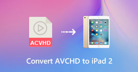 Convertitore video 2 per iPad