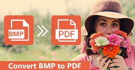 Převod BMP do formátu PDF