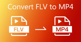 De beste manier om FLV gratis te converteren naar MP4